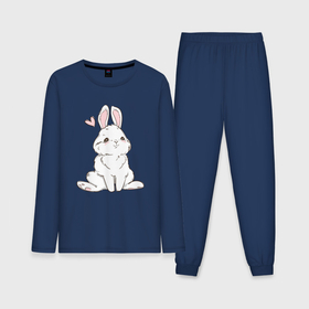 Мужская пижама хлопок (с лонгсливом) с принтом Милый кролик символ года в Тюмени,  |  | 