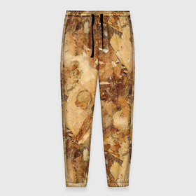 Мужские брюки 3D с принтом Натуральные древесные стружки опилки в Новосибирске, 100% полиэстер | манжеты по низу, эластичный пояс регулируется шнурком, по бокам два кармана без застежек, внутренняя часть кармана из мелкой сетки | 