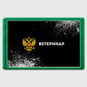 Магнит 45*70 с принтом Ветеринар из России и герб РФ: надпись и символ в городе Новоалтайск, Пластик | Размер: 78*52 мм; Размер печати: 70*45 | 