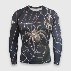 Мужской рашгард 3D с принтом Блестящий паук в паутине в Кировске,  |  | 
