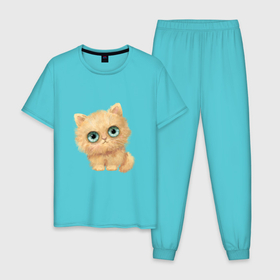 Мужская пижама хлопок с принтом Пушистый котенок с большими глазами в Петрозаводске, 100% хлопок | брюки и футболка прямого кроя, без карманов, на брюках мягкая резинка на поясе и по низу штанин
 | 