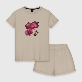 Женская пижама с шортиками хлопок с принтом Орхидея тигровая , 100% хлопок | футболка прямого кроя, шорты свободные с широкой мягкой резинкой | 