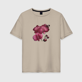 Женская футболка хлопок Oversize с принтом Орхидея тигровая в Курске, 100% хлопок | свободный крой, круглый ворот, спущенный рукав, длина до линии бедер
 | 