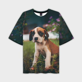 Мужская футболка OVERSIZE 3D с принтом Милый щенок на траве в Петрозаводске,  |  | 