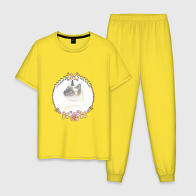 Мужская пижама хлопок с принтом Портрет сиамской кошки в Новосибирске, 100% хлопок | брюки и футболка прямого кроя, без карманов, на брюках мягкая резинка на поясе и по низу штанин
 | Тематика изображения на принте: 