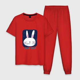 Мужская пижама хлопок с принтом Funny   Bunny в Екатеринбурге, 100% хлопок | брюки и футболка прямого кроя, без карманов, на брюках мягкая резинка на поясе и по низу штанин
 | Тематика изображения на принте: 