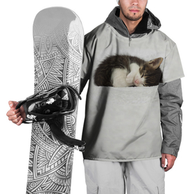 Накидка на куртку 3D с принтом Спящий милый котёнок в Екатеринбурге, 100% полиэстер |  | Тематика изображения на принте: 