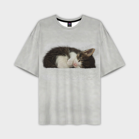 Мужская футболка OVERSIZE 3D с принтом Спящий милый котёнок в Петрозаводске,  |  | 