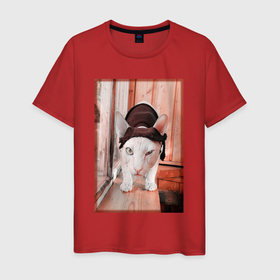 Мужская футболка хлопок с принтом Борис животное в Кировске, 100% хлопок | прямой крой, круглый вырез горловины, длина до линии бедер, слегка спущенное плечо. | 