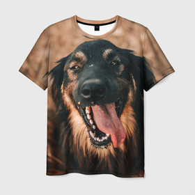 Мужская футболка 3D с принтом Красивый пёс крупным планом в Белгороде, 100% полиэфир | прямой крой, круглый вырез горловины, длина до линии бедер | 