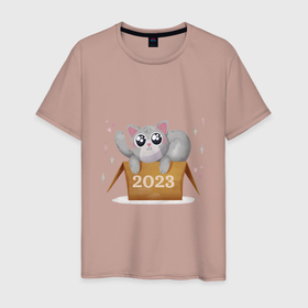 Мужская футболка хлопок с принтом Кот в коробке 2023 в Тюмени, 100% хлопок | прямой крой, круглый вырез горловины, длина до линии бедер, слегка спущенное плечо. | 