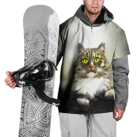 Накидка на куртку 3D с принтом Усатый кот в Санкт-Петербурге, 100% полиэстер |  | Тематика изображения на принте: 