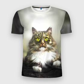 Мужская футболка 3D Slim с принтом Усатый кот в Кировске, 100% полиэстер с улучшенными характеристиками | приталенный силуэт, круглая горловина, широкие плечи, сужается к линии бедра | 
