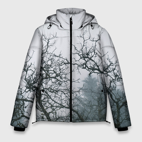 Мужская зимняя куртка 3D с принтом Мертвый лес в Петрозаводске, верх — 100% полиэстер; подкладка — 100% полиэстер; утеплитель — 100% полиэстер | длина ниже бедра, свободный силуэт Оверсайз. Есть воротник-стойка, отстегивающийся капюшон и ветрозащитная планка. 

Боковые карманы с листочкой на кнопках и внутренний карман на молнии. | 