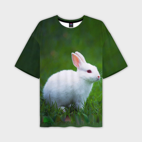 Мужская футболка OVERSIZE 3D с принтом Кролик на фоне травы в Белгороде,  |  | 