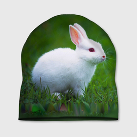 Шапка 3D с принтом Кролик на фоне травы в Курске, 100% полиэстер | универсальный размер, печать по всей поверхности изделия | 