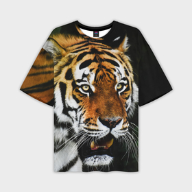 Мужская футболка OVERSIZE 3D с принтом Боевой тигр в Тюмени,  |  | 