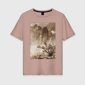 Женская футболка хлопок Oversize с принтом Китайские пейзажи мастера Лонг Чинсан в Петрозаводске, 100% хлопок | свободный крой, круглый ворот, спущенный рукав, длина до линии бедер
 | 
