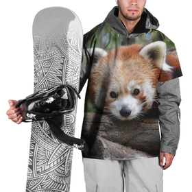 Накидка на куртку 3D с принтом Красная панда в Белгороде, 100% полиэстер |  | Тематика изображения на принте: 