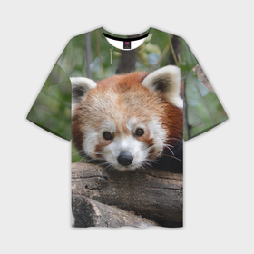Мужская футболка OVERSIZE 3D с принтом Красная панда в Петрозаводске,  |  | 