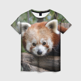 Женская футболка 3D с принтом Красная панда в Тюмени, 100% полиэфир ( синтетическое хлопкоподобное полотно) | прямой крой, круглый вырез горловины, длина до линии бедер | 