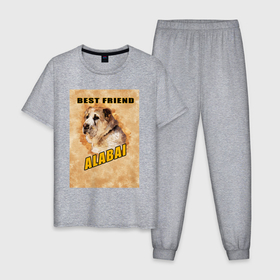 Мужская пижама хлопок с принтом Собака алабай  твой лучший друг в Екатеринбурге, 100% хлопок | брюки и футболка прямого кроя, без карманов, на брюках мягкая резинка на поясе и по низу штанин
 | 