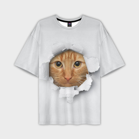 Мужская футболка OVERSIZE 3D с принтом Рыжий кот разрывает пространство в Екатеринбурге,  |  | Тематика изображения на принте: 
