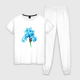Женская пижама хлопок с принтом Голубые цветы ирисы , 100% хлопок | брюки и футболка прямого кроя, без карманов, на брюках мягкая резинка на поясе и по низу штанин | 