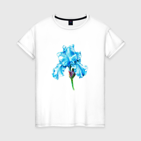 Женская футболка хлопок с принтом Голубые цветы ирисы в Белгороде, 100% хлопок | прямой крой, круглый вырез горловины, длина до линии бедер, слегка спущенное плечо | 