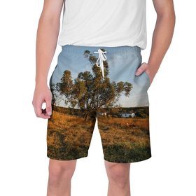 Мужские шорты 3D с принтом Поля в деревне в Курске,  полиэстер 100% | прямой крой, два кармана без застежек по бокам. Мягкая трикотажная резинка на поясе, внутри которой широкие завязки. Длина чуть выше колен | 