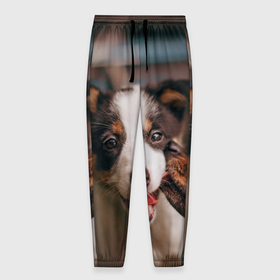 Мужские брюки 3D с принтом Милого щенка целует собачка в Курске, 100% полиэстер | манжеты по низу, эластичный пояс регулируется шнурком, по бокам два кармана без застежек, внутренняя часть кармана из мелкой сетки | Тематика изображения на принте: 