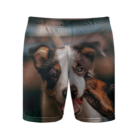 Мужские шорты спортивные с принтом Милого щенка целует собачка в Курске,  |  | Тематика изображения на принте: 