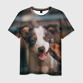 Мужская футболка 3D с принтом Милого щенка целует собачка в Курске, 100% полиэфир | прямой крой, круглый вырез горловины, длина до линии бедер | Тематика изображения на принте: 