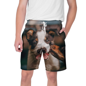 Мужские шорты 3D с принтом Милого щенка целует собачка в Екатеринбурге,  полиэстер 100% | прямой крой, два кармана без застежек по бокам. Мягкая трикотажная резинка на поясе, внутри которой широкие завязки. Длина чуть выше колен | 