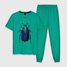 Мужская пижама хлопок с принтом Euphoria fulgida   тип 1 в Петрозаводске, 100% хлопок | брюки и футболка прямого кроя, без карманов, на брюках мягкая резинка на поясе и по низу штанин
 | 