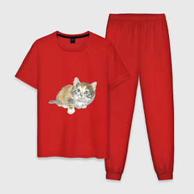 Мужская пижама хлопок с принтом Маленький пушистый котенок в Петрозаводске, 100% хлопок | брюки и футболка прямого кроя, без карманов, на брюках мягкая резинка на поясе и по низу штанин
 | 