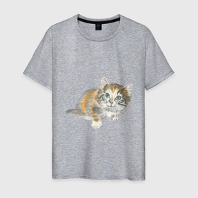 Мужская футболка хлопок с принтом Маленький пушистый котенок в Екатеринбурге, 100% хлопок | прямой крой, круглый вырез горловины, длина до линии бедер, слегка спущенное плечо. | 