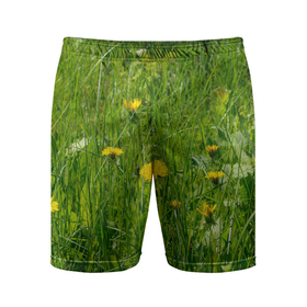 Мужские шорты спортивные с принтом Солнечные одуванчики в Белгороде,  |  | Тематика изображения на принте: 