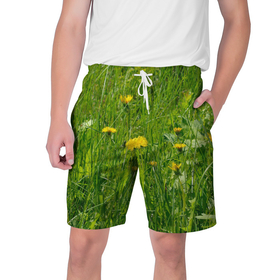Мужские шорты 3D с принтом Солнечные одуванчики в Белгороде,  полиэстер 100% | прямой крой, два кармана без застежек по бокам. Мягкая трикотажная резинка на поясе, внутри которой широкие завязки. Длина чуть выше колен | 