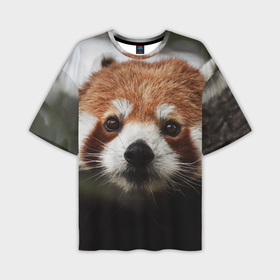 Мужская футболка OVERSIZE 3D с принтом Малая панда в Петрозаводске,  |  | 