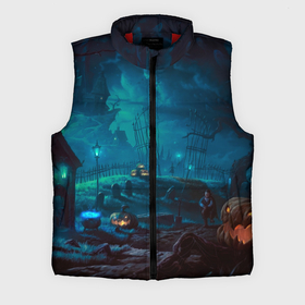 Мужской жилет утепленный 3D с принтом Волшебная ночь в городе Новоалтайск,  |  | 