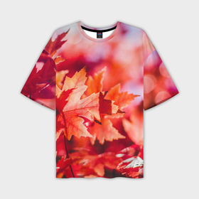Мужская футболка OVERSIZE 3D с принтом Красные кленовые листья в Белгороде,  |  | 
