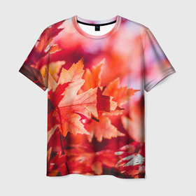 Мужская футболка 3D с принтом Красные кленовые листья в Курске, 100% полиэфир | прямой крой, круглый вырез горловины, длина до линии бедер | 