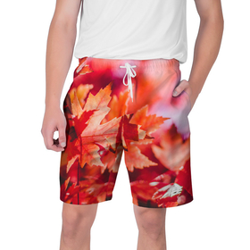 Мужские шорты 3D с принтом Красные кленовые листья в Тюмени,  полиэстер 100% | прямой крой, два кармана без застежек по бокам. Мягкая трикотажная резинка на поясе, внутри которой широкие завязки. Длина чуть выше колен | 