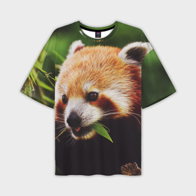 Мужская футболка oversize 3D с принтом Красная милая панда в Петрозаводске,  |  | 