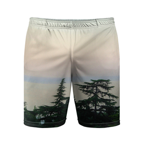 Мужские шорты спортивные с принтом Мягкий рассвет в Курске,  |  | Тематика изображения на принте: 
