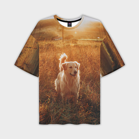 Мужская футболка OVERSIZE 3D с принтом Собака в поле колосьев в Белгороде,  |  | 