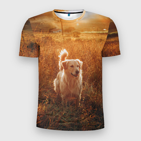 Мужская футболка 3D Slim с принтом Собака в поле колосьев в Екатеринбурге, 100% полиэстер с улучшенными характеристиками | приталенный силуэт, круглая горловина, широкие плечи, сужается к линии бедра | 