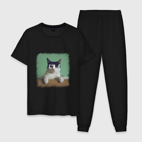 Мужская пижама хлопок с принтом Мем   голодный кот в Екатеринбурге, 100% хлопок | брюки и футболка прямого кроя, без карманов, на брюках мягкая резинка на поясе и по низу штанин
 | 
