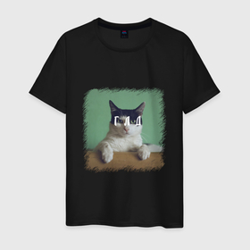 Мужская футболка хлопок с принтом Мем   голодный кот в Белгороде, 100% хлопок | прямой крой, круглый вырез горловины, длина до линии бедер, слегка спущенное плечо. | 